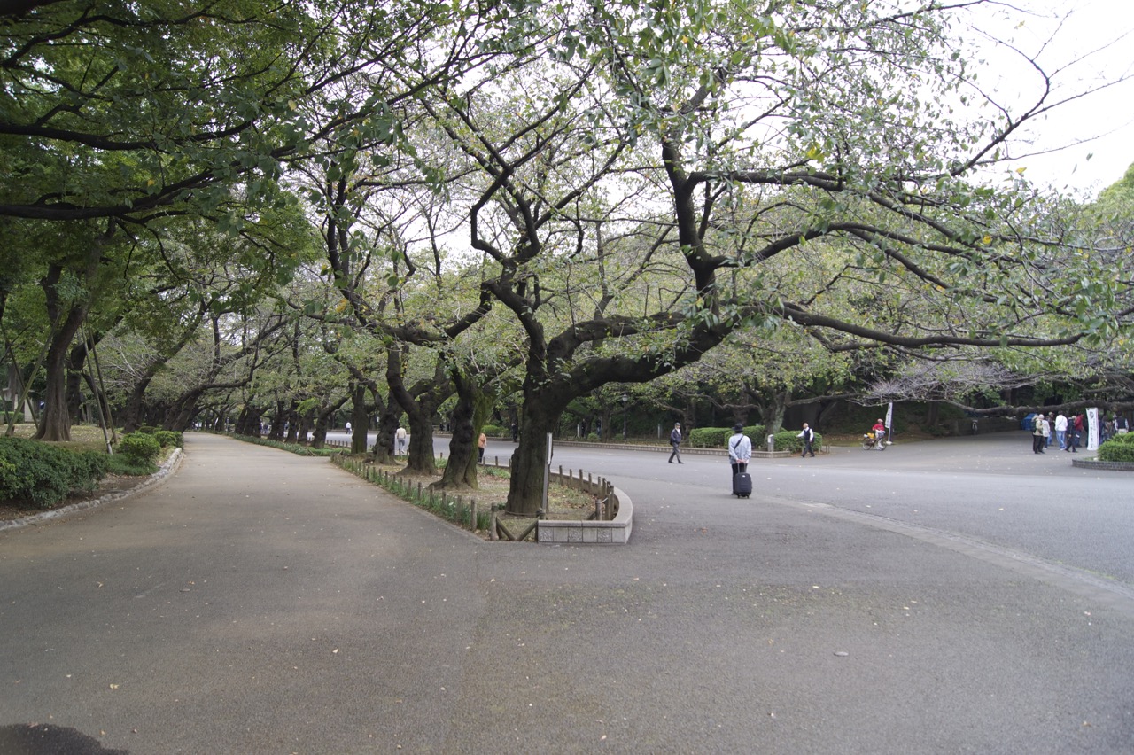 Park in Tokyo
